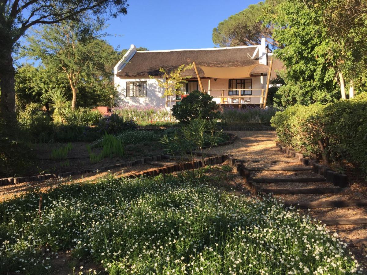 Mooi Bly Villa Paarl Dış mekan fotoğraf