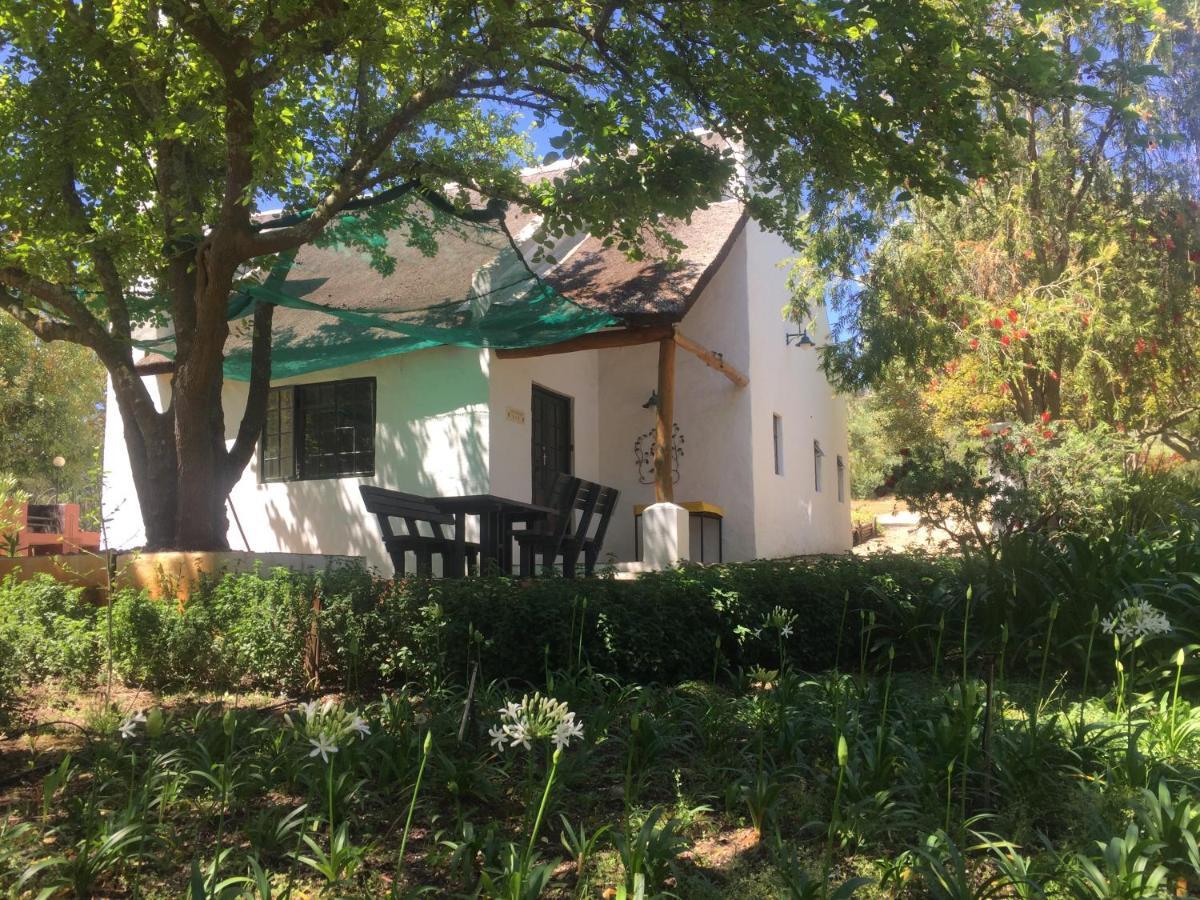 Mooi Bly Villa Paarl Dış mekan fotoğraf