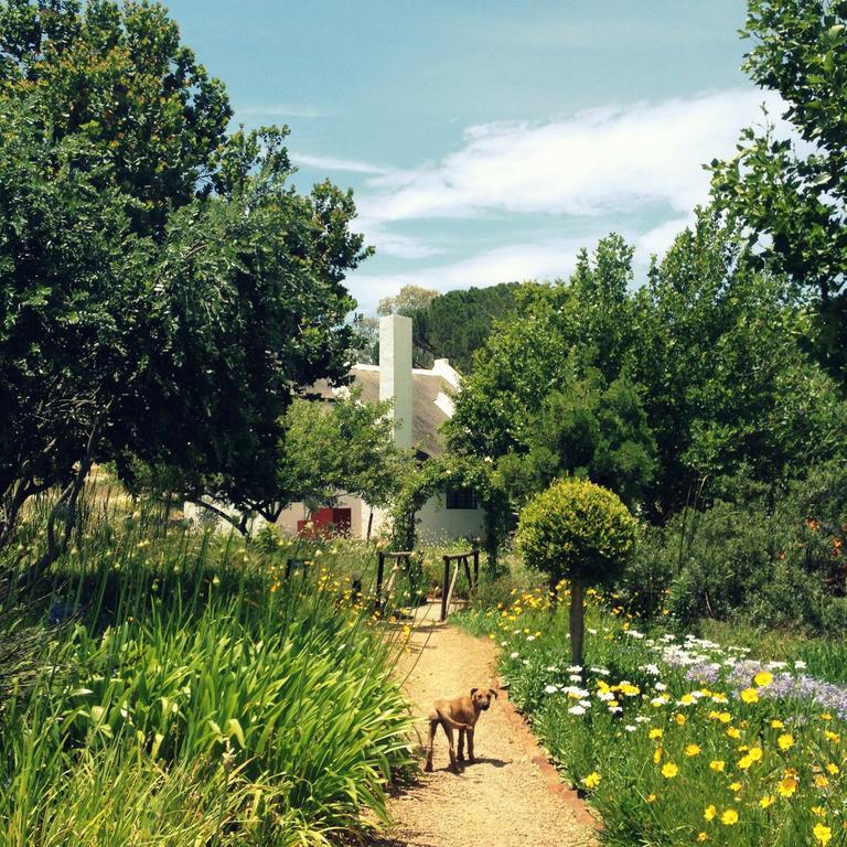 Mooi Bly Villa Paarl Oda fotoğraf