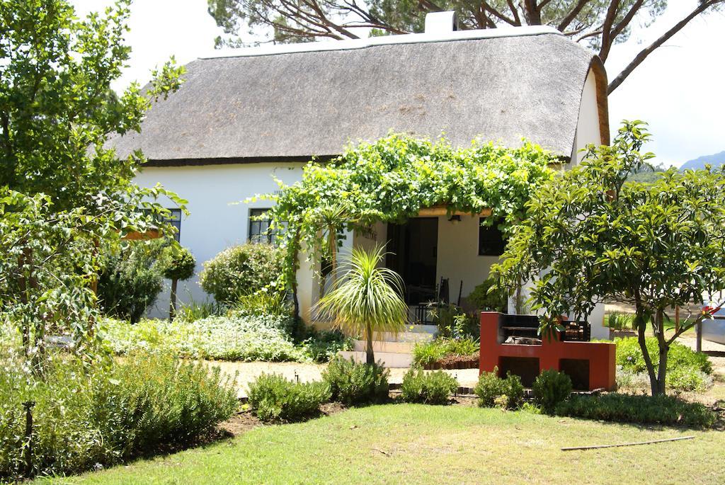 Mooi Bly Villa Paarl Oda fotoğraf