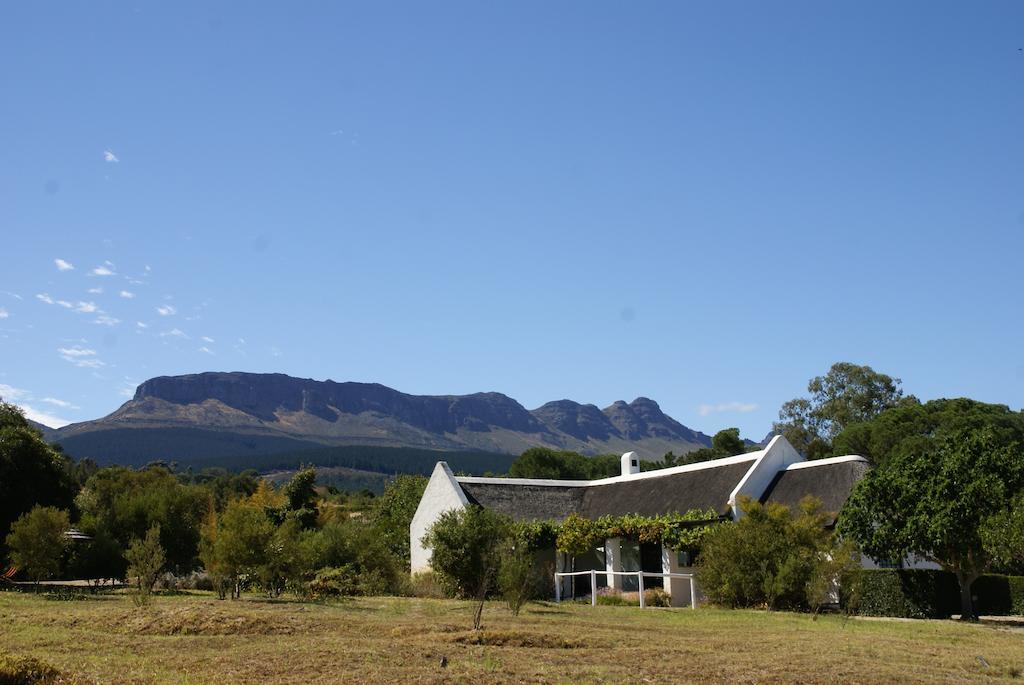 Mooi Bly Villa Paarl Oda fotoğraf