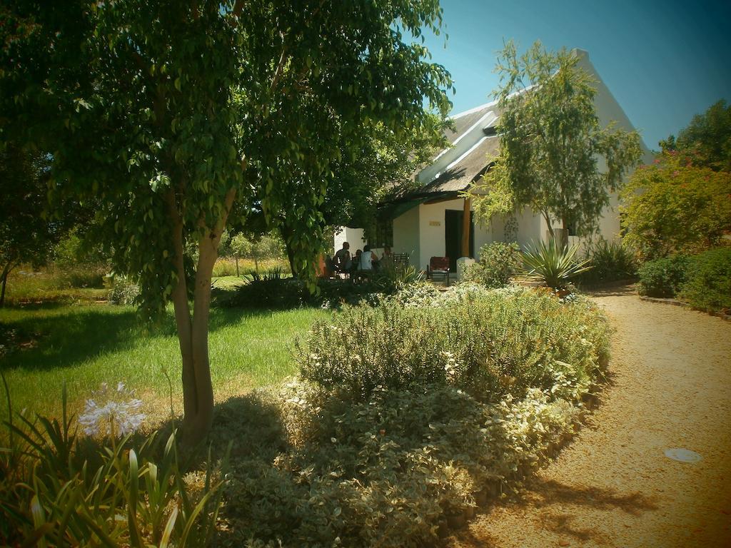 Mooi Bly Villa Paarl Oda fotoğraf