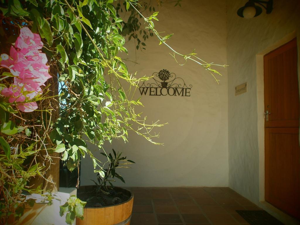Mooi Bly Villa Paarl Dış mekan fotoğraf