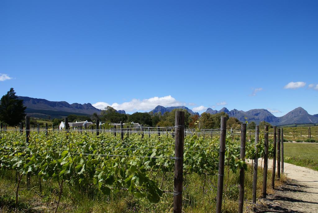 Mooi Bly Villa Paarl Dış mekan fotoğraf