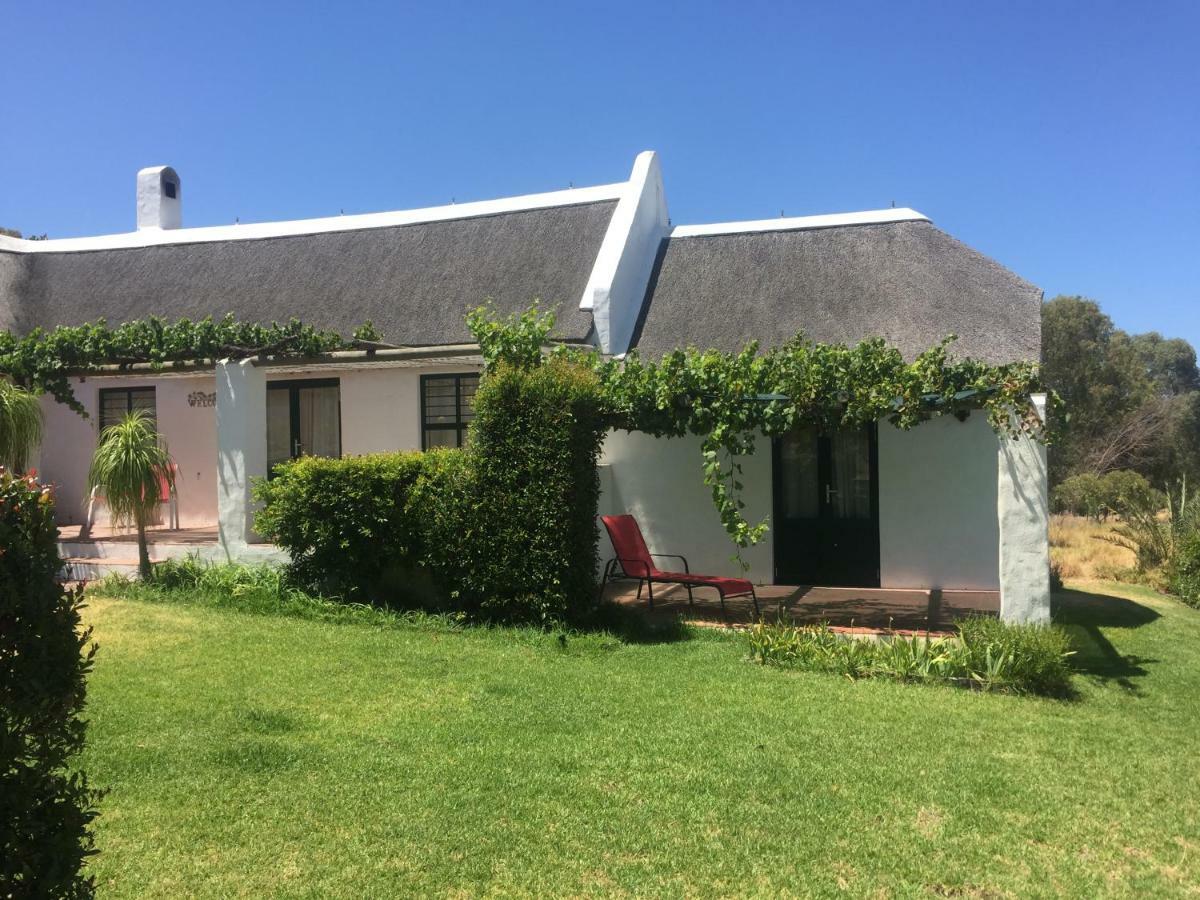 Mooi Bly Villa Paarl Dış mekan fotoğraf